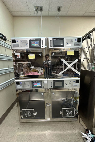 Intensivpflegeeinheit für Zootiere01