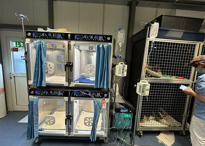 AEOLUS Animal ICU in Meerbusch installiert – Fortschritt für die tierärztliche Versorgung und Lebensrettung 01