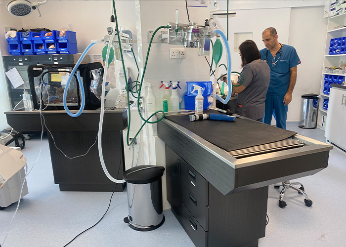AEOLUS Animal ICU und veterinärmedizinische Ausstattung in Abu Dhabi installiert – Neue Standards in der Tiermedizin 01