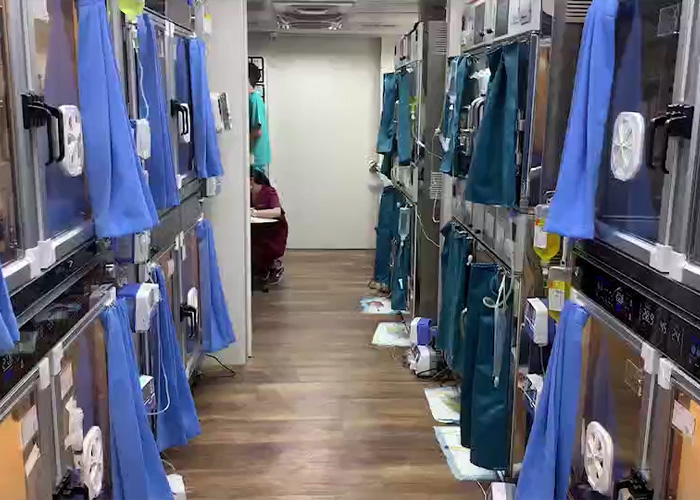 Taiwanesische Tierklinik setzt auf AEOLUS ICU-System – Revolution der stationären Tiermedizin