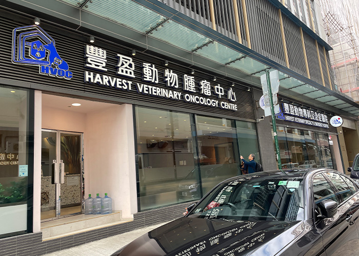 Hong Kong Veterinary Specialists & Emergency Hospital entscheidet sich für AEOLUS ICU-Systeme für hochspezialisierte Intensivmedizin 01