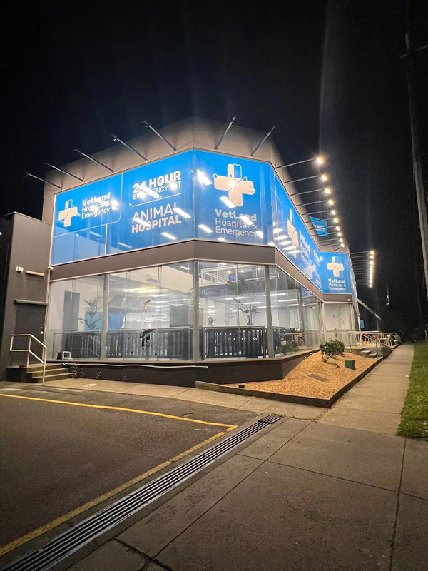 Australiens erste AEOLUS Animal ICU installiert – Revolution der 24/7 Intensivpflege 02