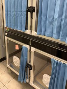 Dr. Morsys neue Tierklinik eröffnet mit AEOLUS Medizintechnik 04