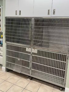 Dr. Morsys neue Tierklinik eröffnet mit AEOLUS Medizintechnik 06