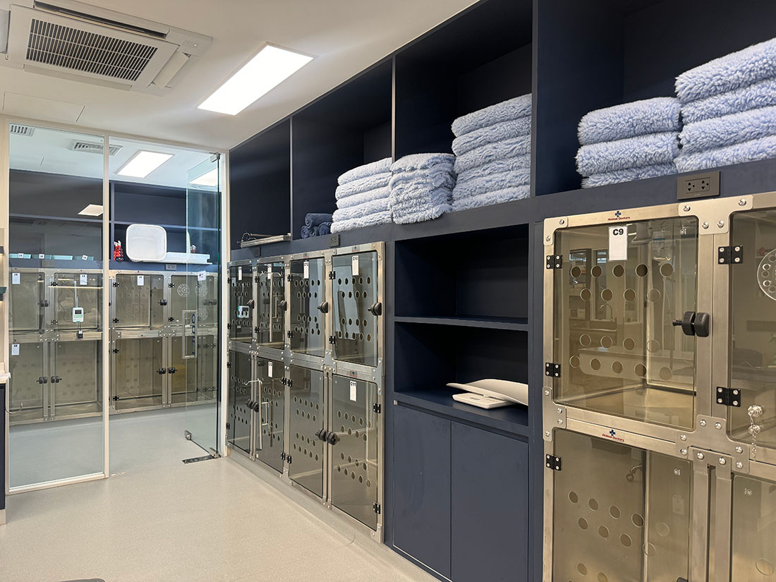 Erfolgsgeschichte: Animal Doctors Hospital in Thailand entscheidet sich für AEOLUS als Komplettanbieter für Veterinärtechnik 04