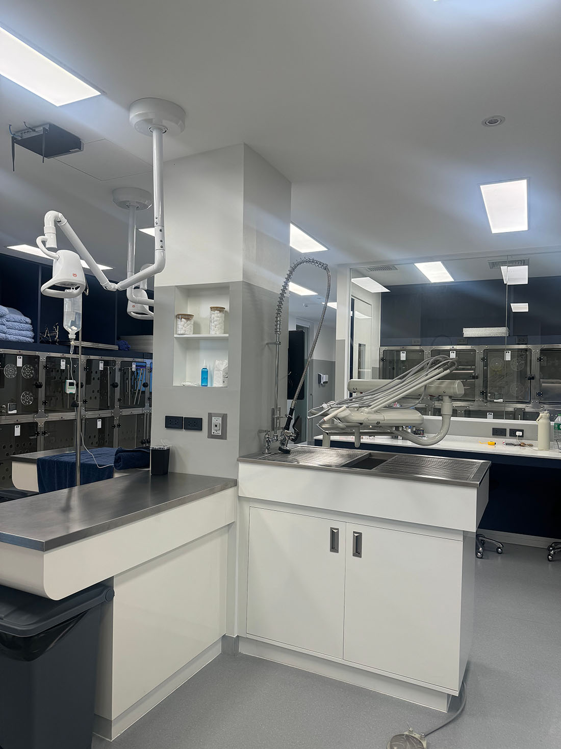 Erfolgsgeschichte: Animal Doctors Hospital in Thailand entscheidet sich für AEOLUS als Komplettanbieter für Veterinärtechnik 03