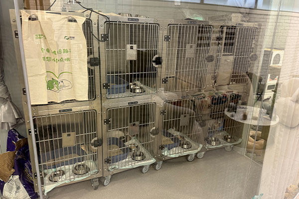 Königlicher Tierarzt in China 02