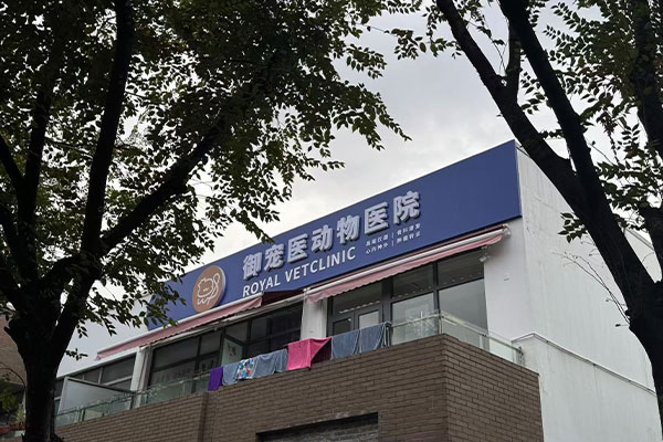 Königlicher-Tierarzt-in-China3