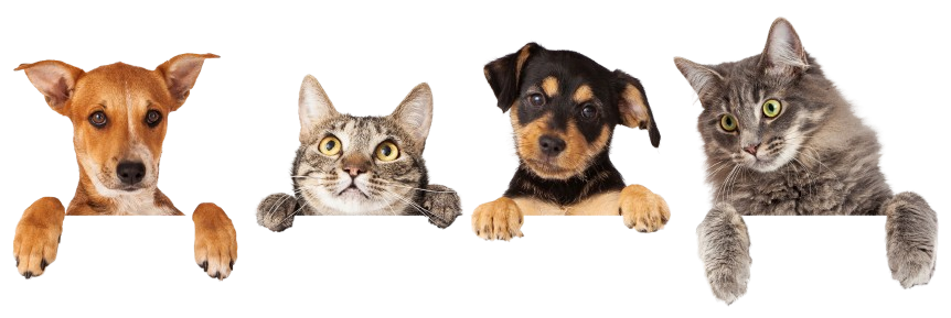 Kontaktieren Sie uns