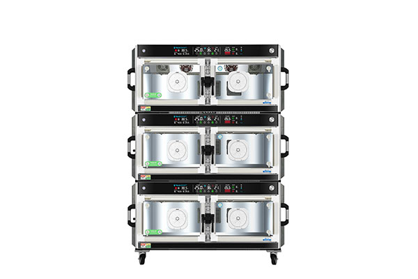 Intensivpflegeeinheit-für-Vögel2