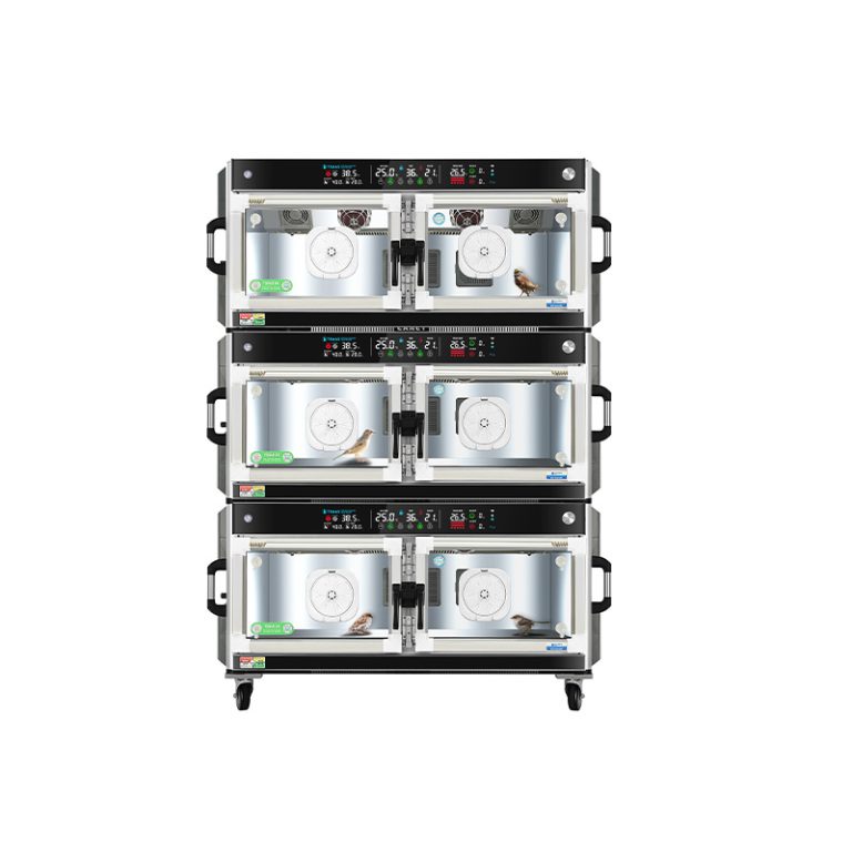 Intensivpflegeeinheit für Vögel