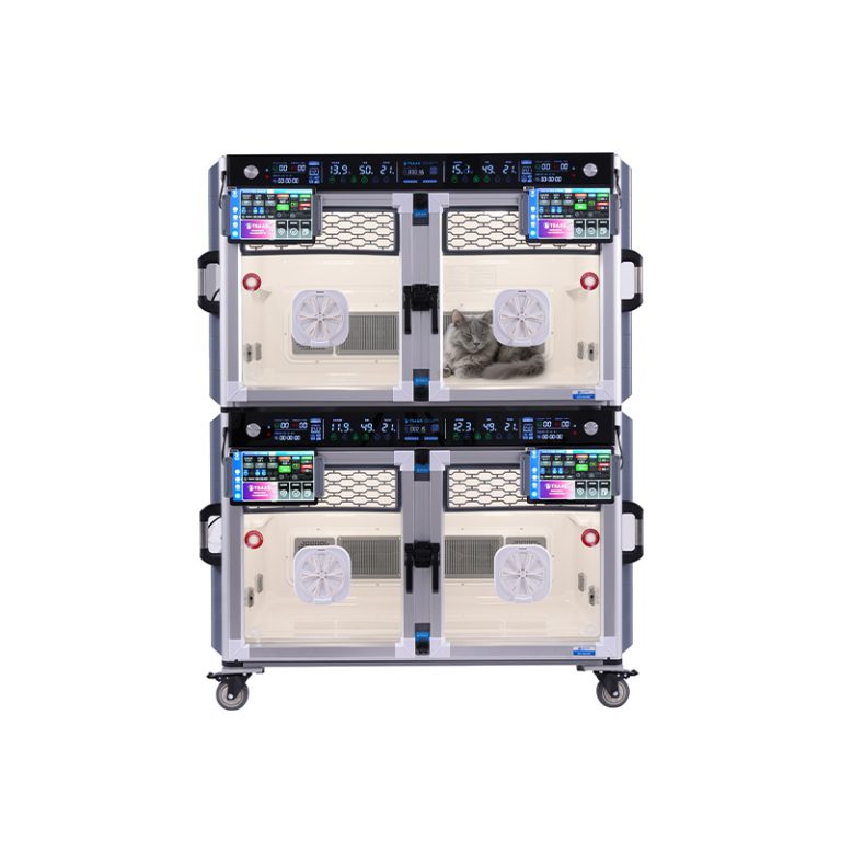 Katzenfreundliche Intensivpflegeeinheit