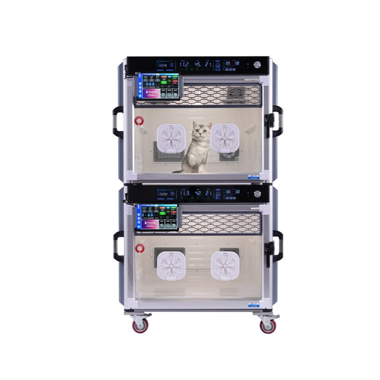 Katzenfreundliche Intensivpflegeeinheit3