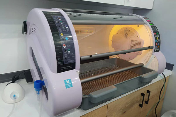 Katzenfreundliche Intensivpflegeeinheit2